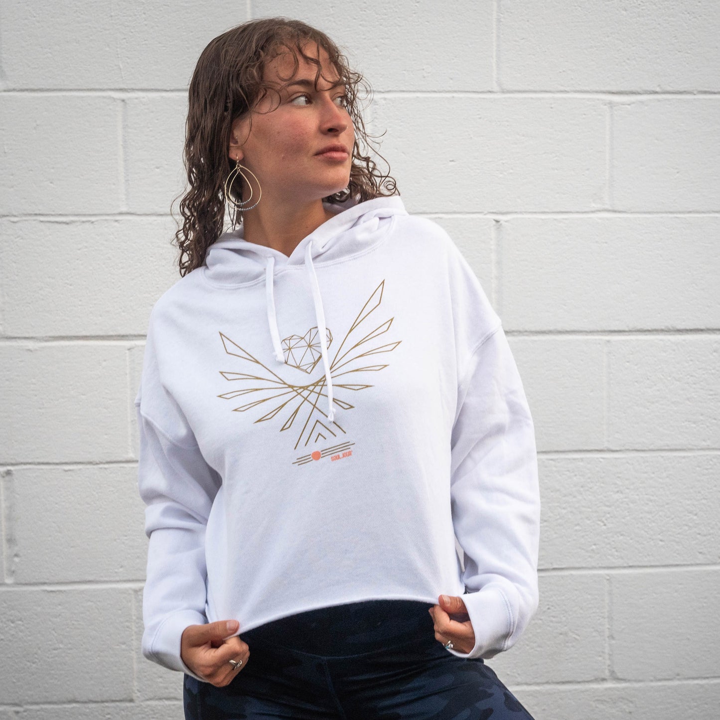 Phoenix Rising Crop Hoodie